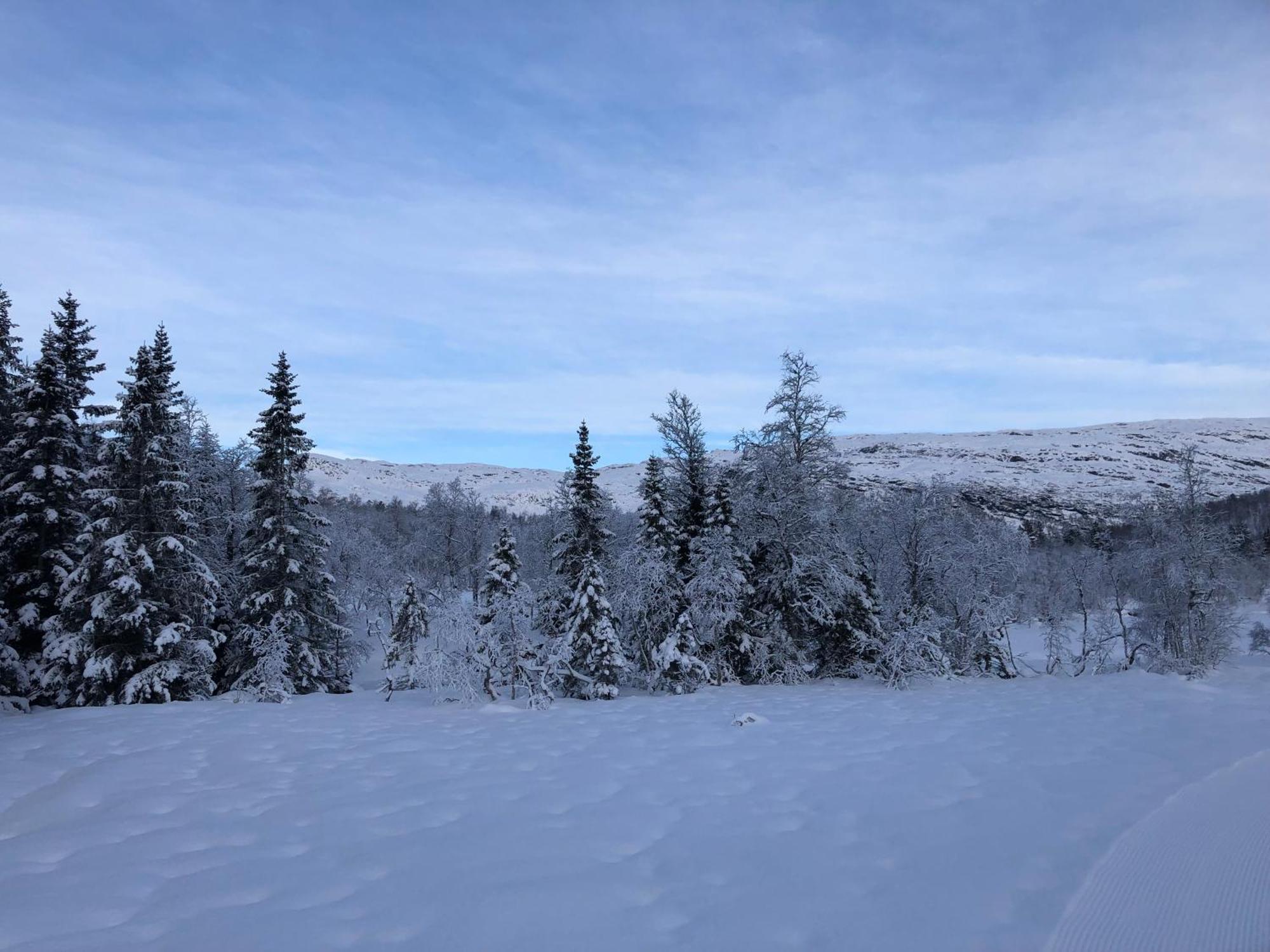 Semesterbostad Roldal A With A View *